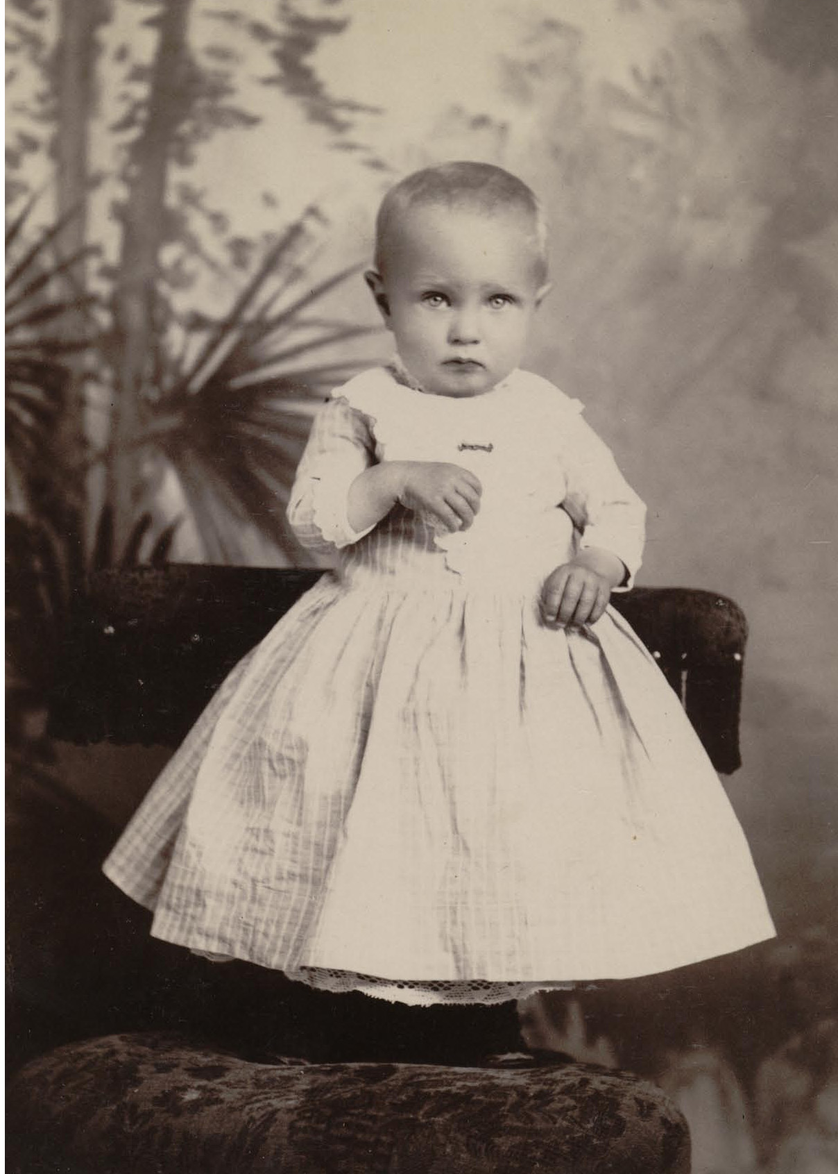 Cook, Alice Adeline Southam