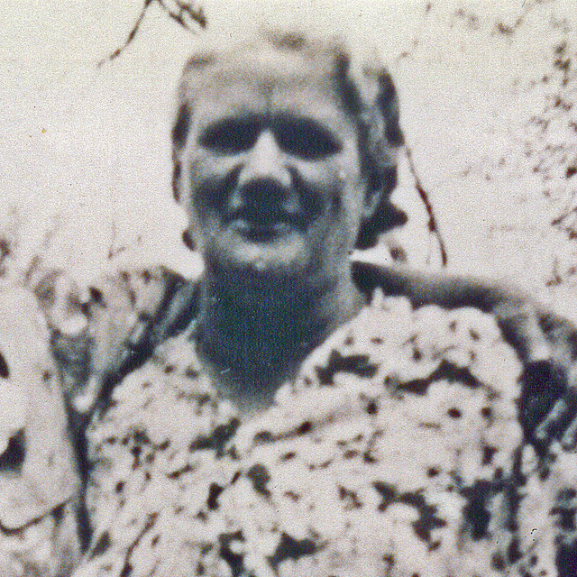 Nellie Avilda Chamberlain